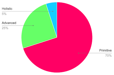 Pie chart locating the primitive model at 70%, the advanced model at 25%, and the holistic model at 5%.